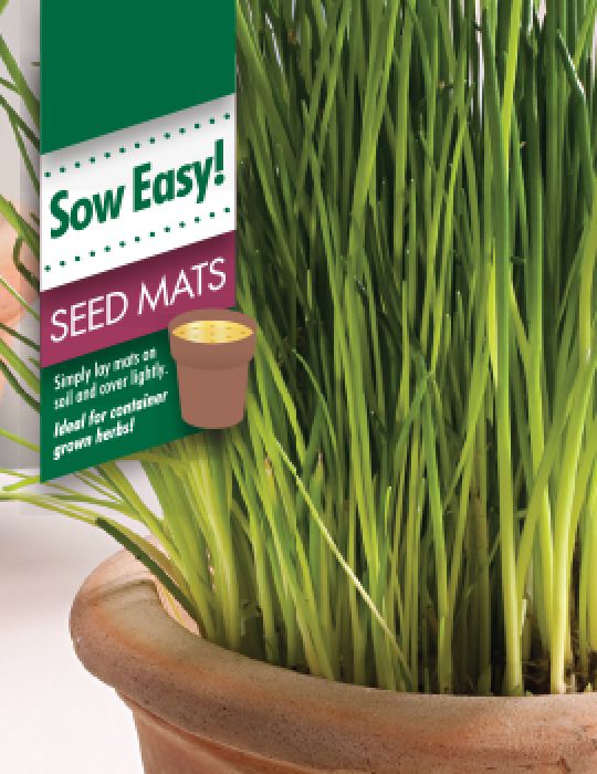 Chives Seed Mat 
