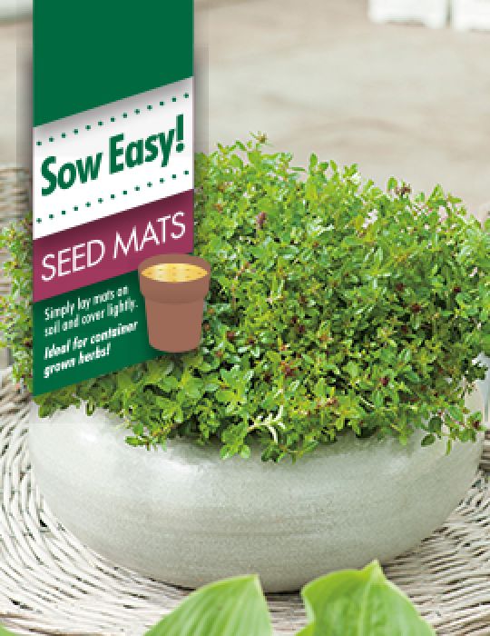 Thyme Seed Mat