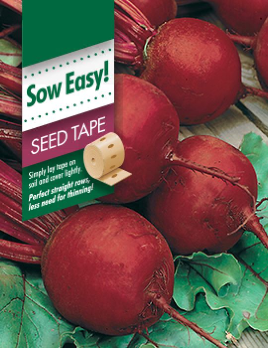 Seed Tape Beetroot Pablo H 4 Metre Vegetable Easy Sow Grow Pictorial Packet UK 