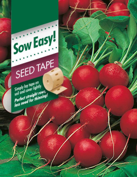 Radish Cherry Belle Seed Tape