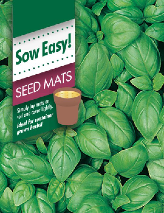 Basil Sweet Genovese Seed Mat