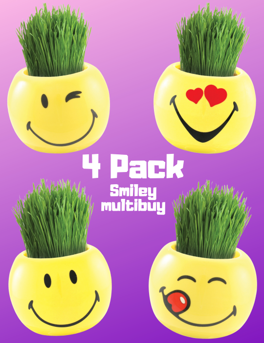 Grass Hair Kit -Smiley Faces 4 Pack