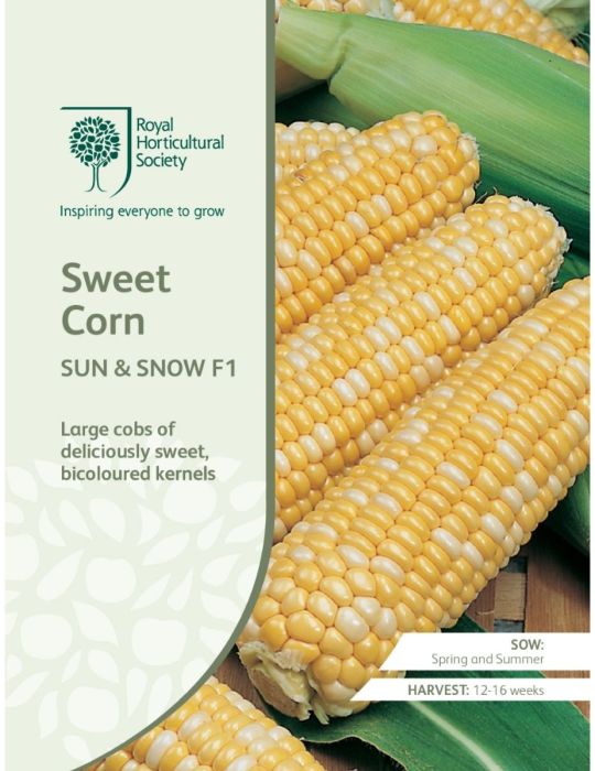 Sweet Corn Sun & Snow F1 - NOT AVAILABLE TO WA