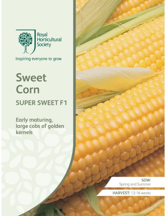 Sweet Corn Super Sweet F1 - NOT AVAILABLE TO WA