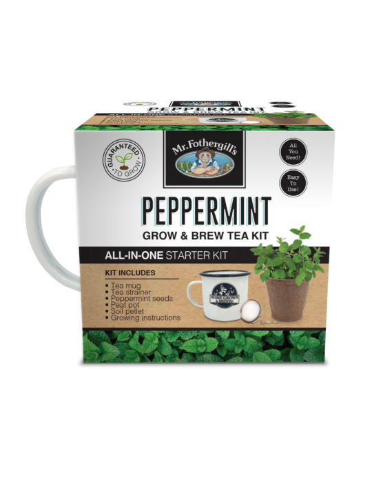 Grow & Brew Tea Kit - Peppermint