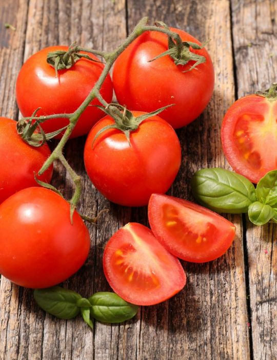 Tomato Gardeners' Delight