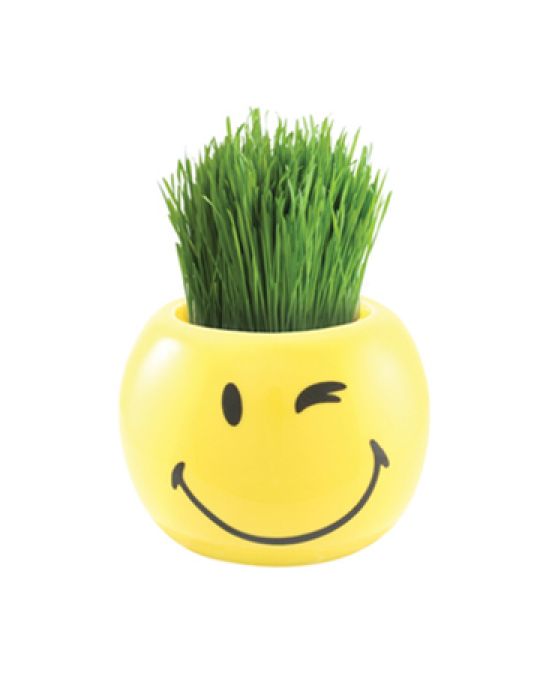 Grass Hair Kit -Smiley Faces (Wink)
