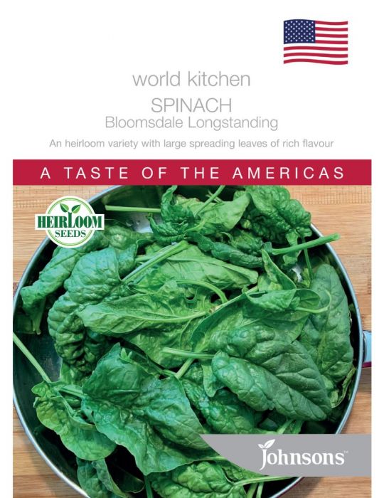 Spinach Bloomsdale Longstanding