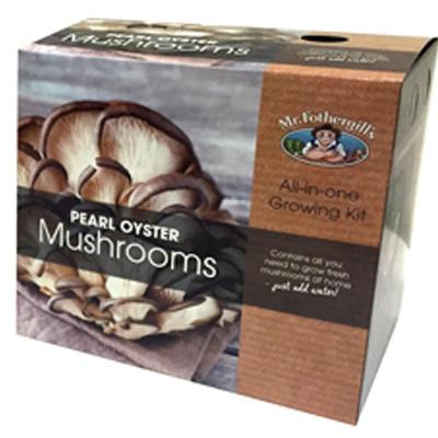 Oyster Mushroom Kits