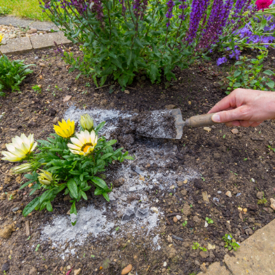 Using Wood Ash in the Garden