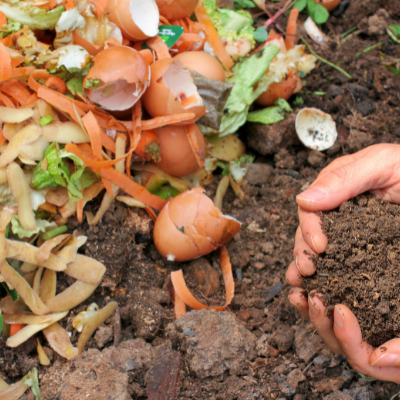 The Dirt on Good Composting