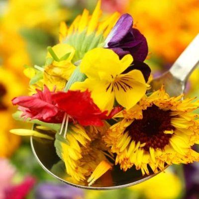Types of Edible Flowers and How to Use Them