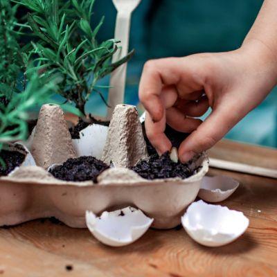 Ten Tips For Gardening on a Budget