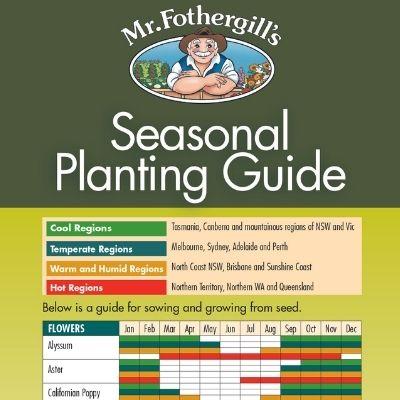 Seasonal Planting Guide