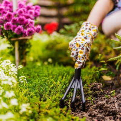 10 Essential Spring Gardening Tasks