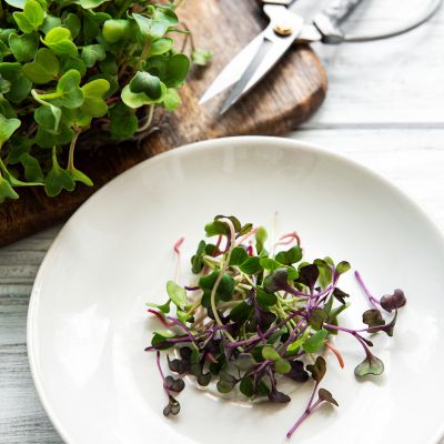 Health Benefits of Sprouts and Microgreens