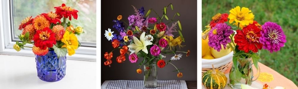 Zinnias are prolific bloomers, perfect for vases