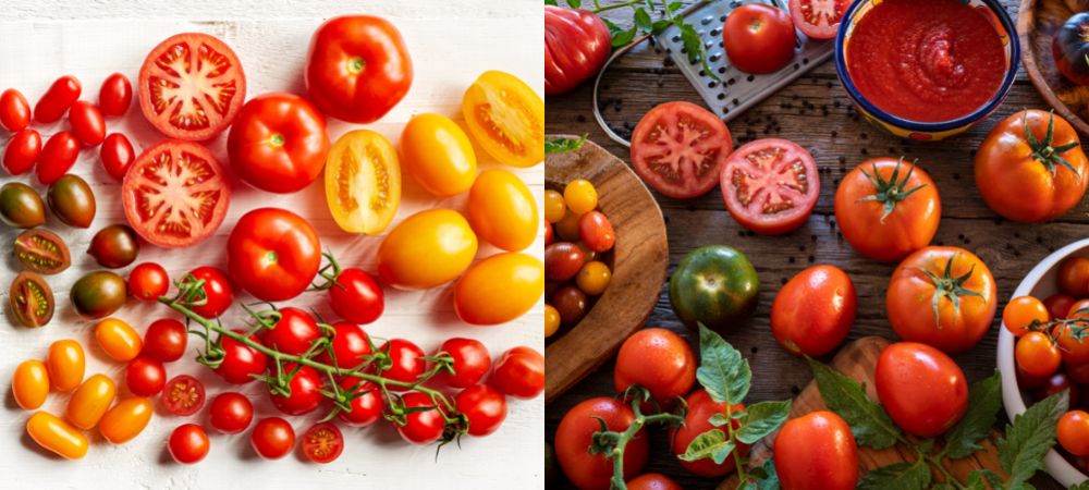 Tomatoes come in all different shapes, sizes, colours and flavours