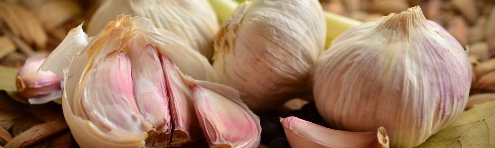 How to grow Garlic