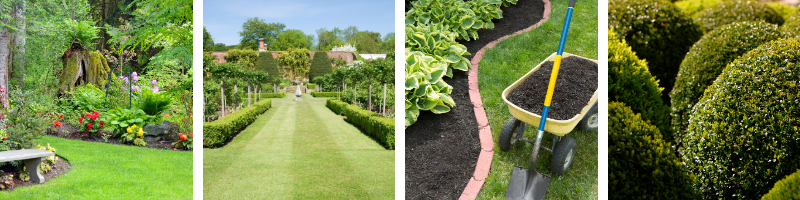 hedging and edging the garden